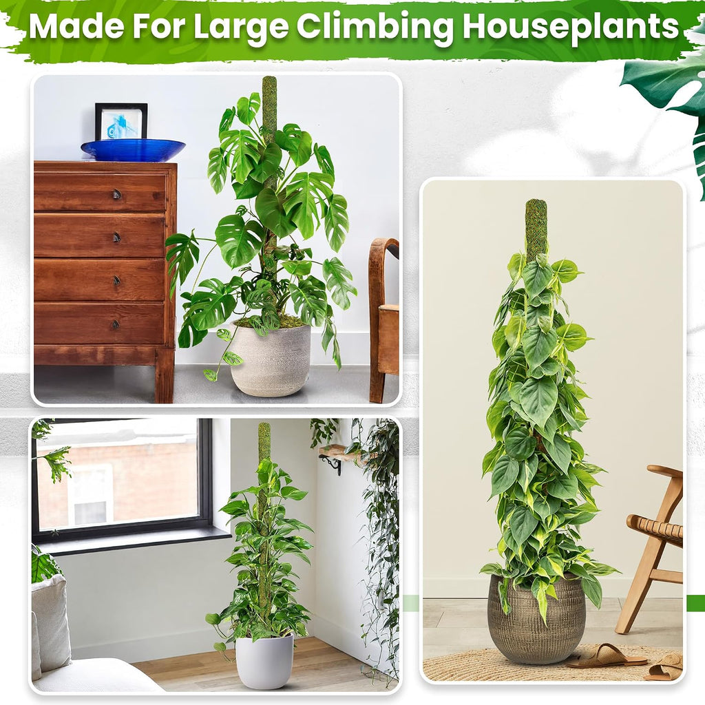 59" Large Green Mesh Moss Pole Monstera Plant Support, (1pc., 59'') | Rigid Stakes for Indoor Plants with Real Forest