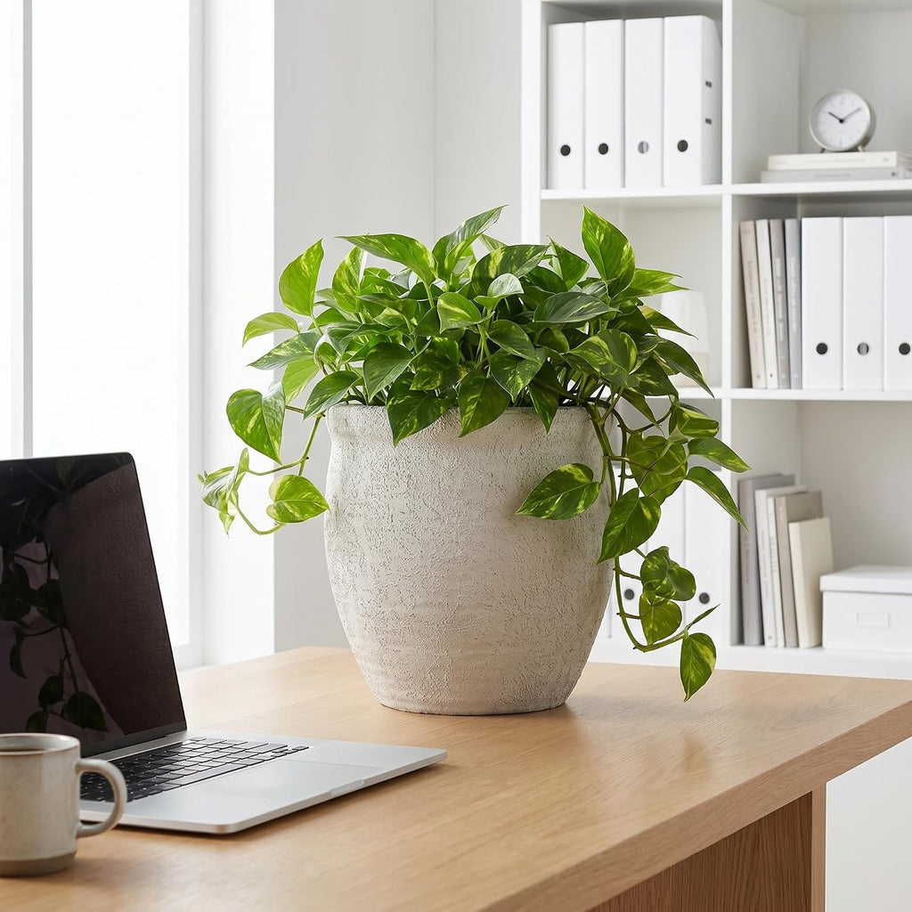 9" Dia Fiberstone Planter – Modern Farmhouse Indoor/Outdoor Flower Pot, Beige Decorative Plant Pot with Grainy Matte