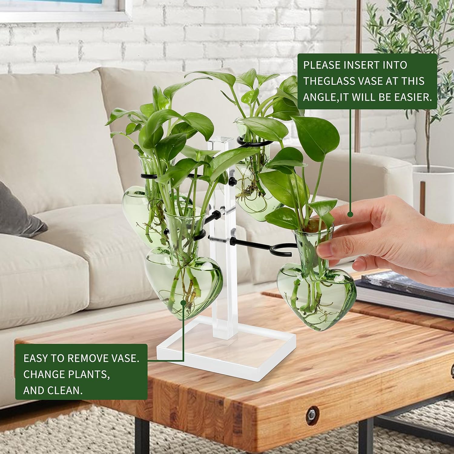 Plants Propagation Stations Plant Terrarium Kit Gift for Women | Birthday Glass Planters For Indoor Plants Home Office