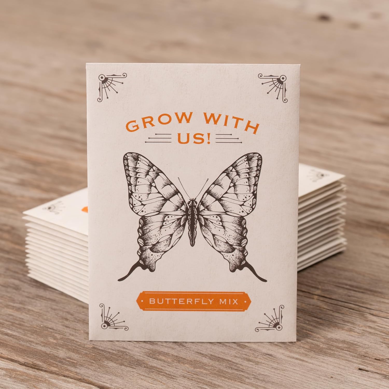 Bentley Seeds Grow with Us Pre Filled Butterfly Mix Seed Packets - 25 Individual Assortment Butterfly Mix Seed Packs
