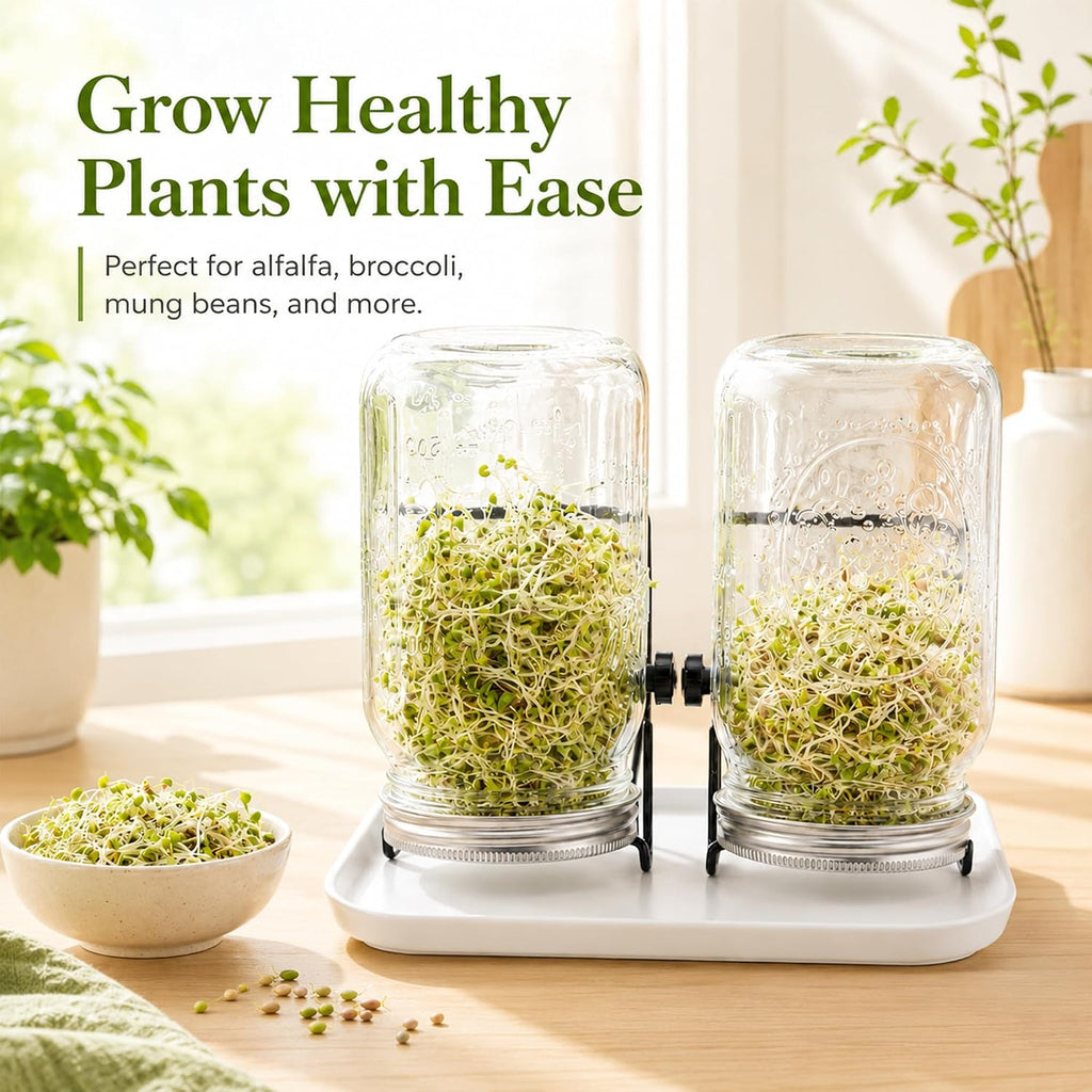 Sprouting Jar Kit,2pcs 1000ml Wide-Mouth Mason Jars with 316 Stainless Steel Sprouting Lids
