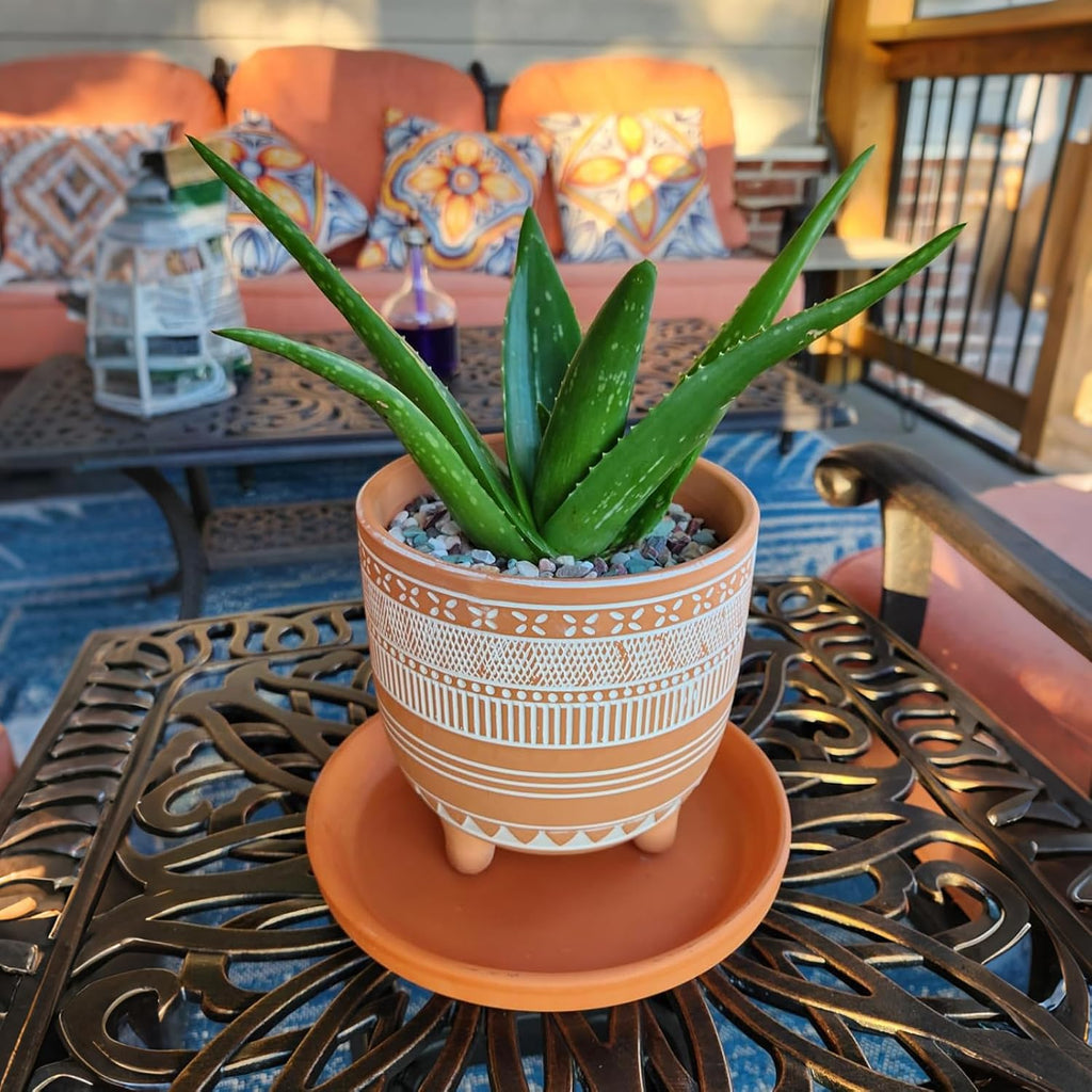 Frcctre 2 Pack Terracotta Pots, 6 Inch Succulent Clay Pottery Plant Pots Cactus Terra Cotta Flower Pot with Drainage