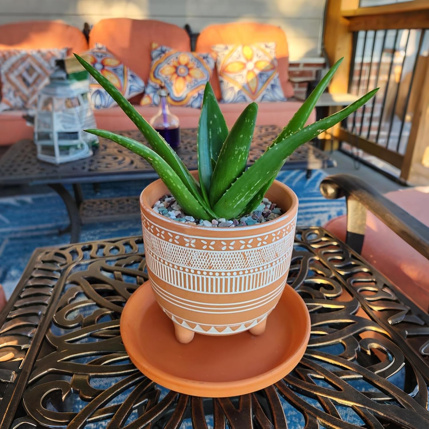 Frcctre 2 Pack Terracotta Pots, 6 Inch Succulent Clay Pottery Plant Pots Cactus Terra Cotta Flower Pot with Drainage