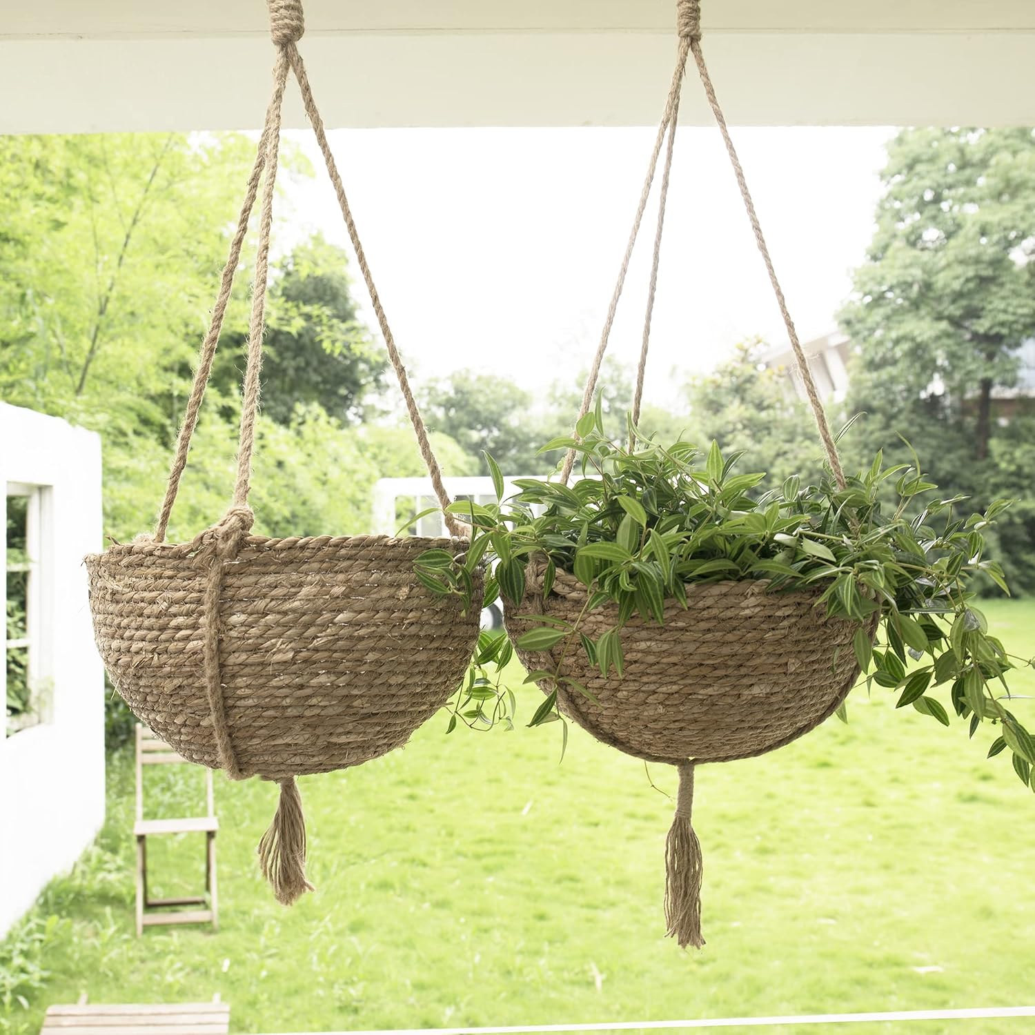 Natural Seagrass Hanging Planter Basket Set, Indoor Plant Pots, Boho Decor Plant Pot Cover, 12.4 (D) 6.3 (H) Inch, Pack