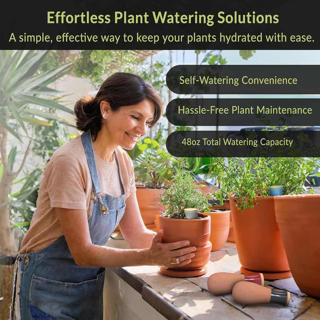 Ollas (Set of 4) | 12oz Terracotta Plant Watering Globes - Self Watering Planter Insert - Automatic Plant Watering