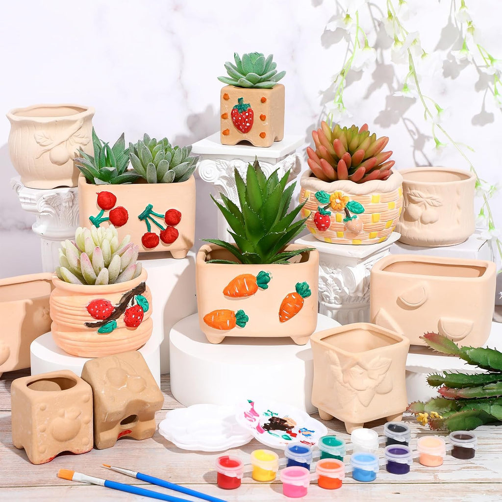 Hushee 12 Sets Ceramic Succulent Pots to Paint with Drainage | Paintable Succulent Plant Pots, 12 Styles, Small DIY
