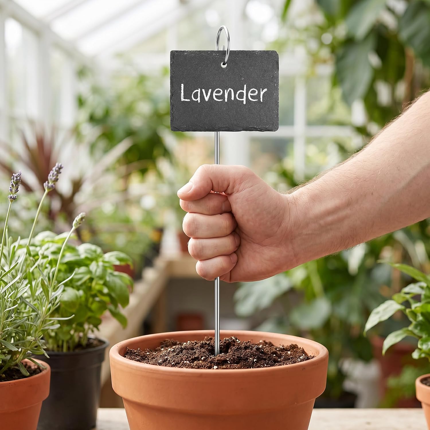 Large Slate Plant Labels, Garden Plant Labels Tags, Plant Markers 10 Sets | Natural Weatherproof Garden Signs with