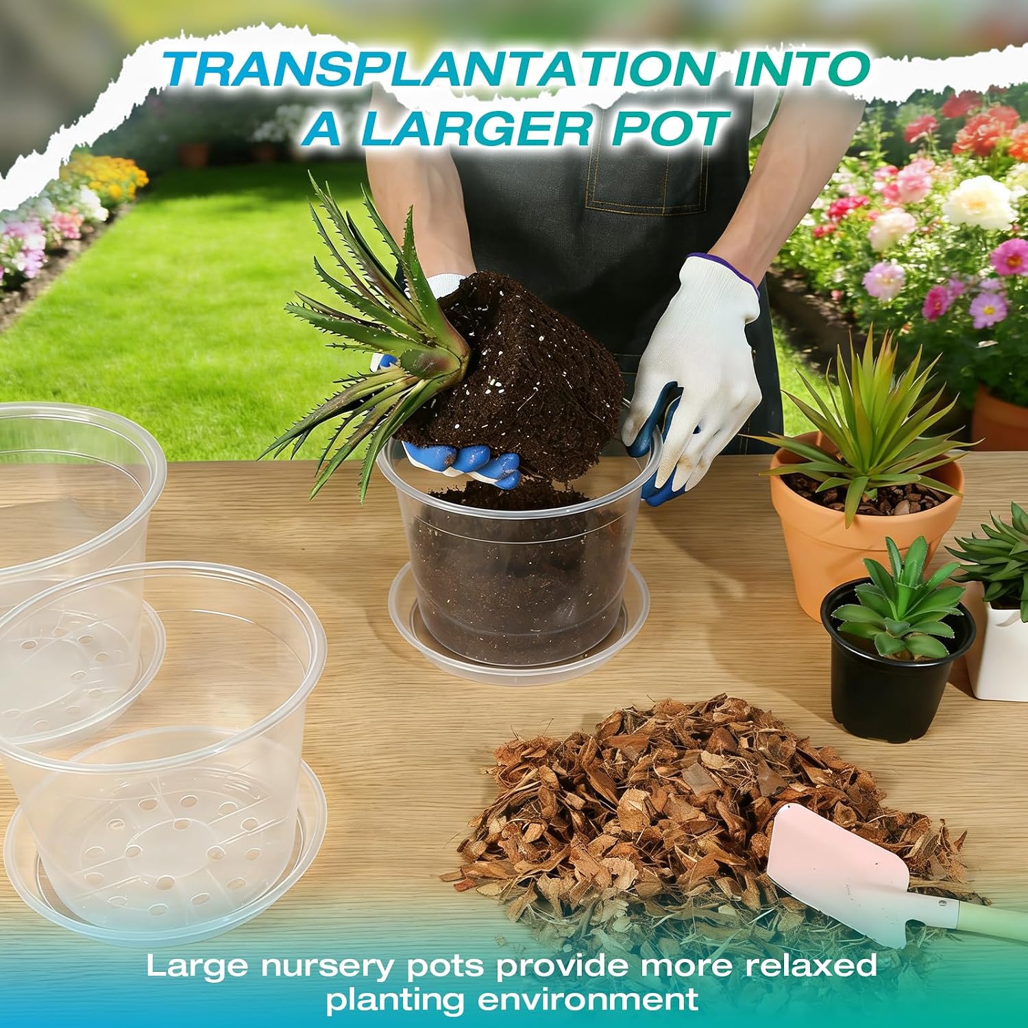 8/10/12 Inch Clear Nursery Pots with Drainage and Sacuers, 15 Pack Plastic Pots for Plants Indoor Outdoor, Variety