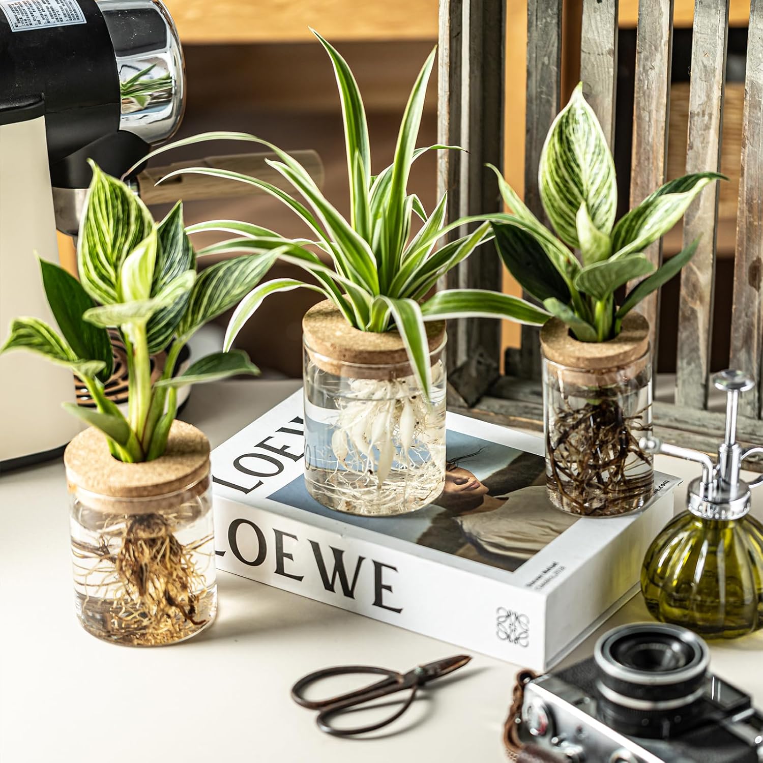 Glass Propagation Stations for Plants -Desktop Flower Vases,Propagation Flower Vases Set – 2 Large & 2 Small for Plant