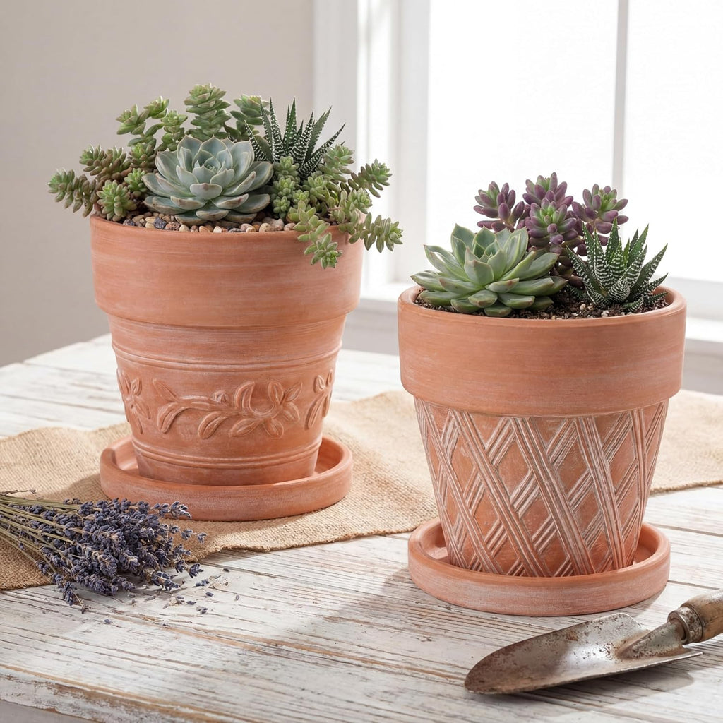Set of 6 Embossed Succulent Pots 4" Small Terracotta Pots with Drainage Hole Saucer Mini Rustic Clay Succulent Planter