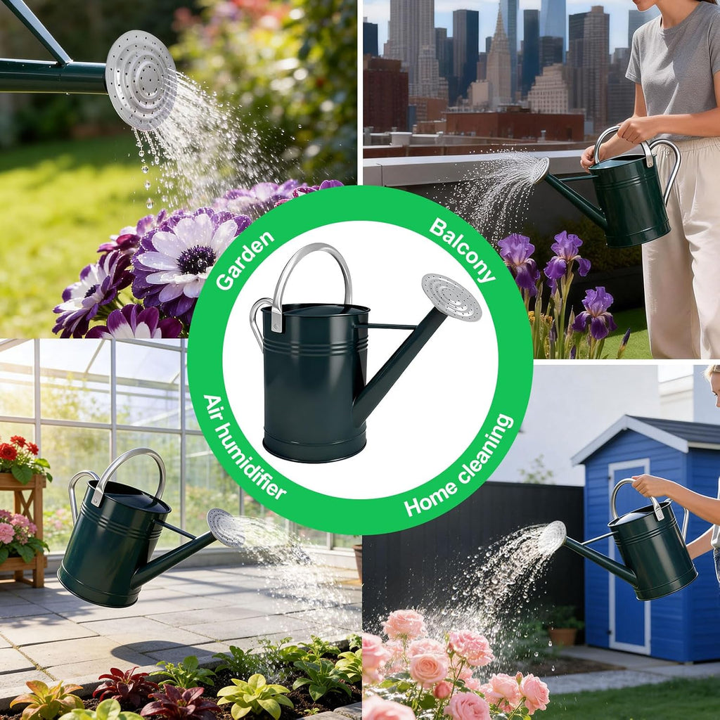 Galvanized Iron Watering Can for Indoor Plants, DIY Watering Cans for House Plant Garden Flower, Long Spout Water Can