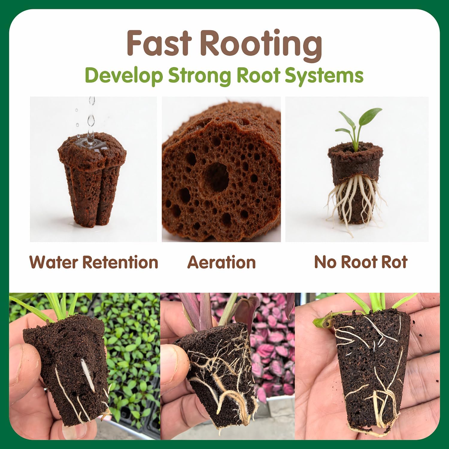 150PCS Seed Starter Plugs, Grow Sponges Compatible with Hydroponic Trays | Expandable Grow Media for Seed Starting