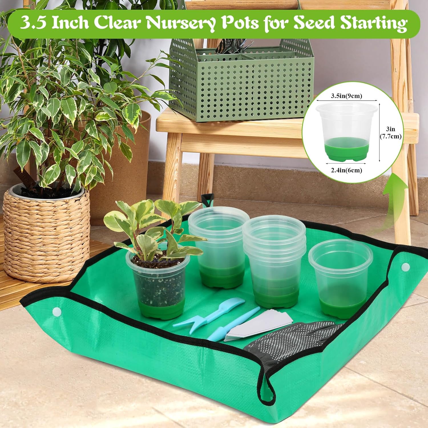 Caffox 55PCS Reusable Seed Starter Kit Includes 30 Packs 3.5" Clear Nursery Pots with Silicone Base, Repotting Mat