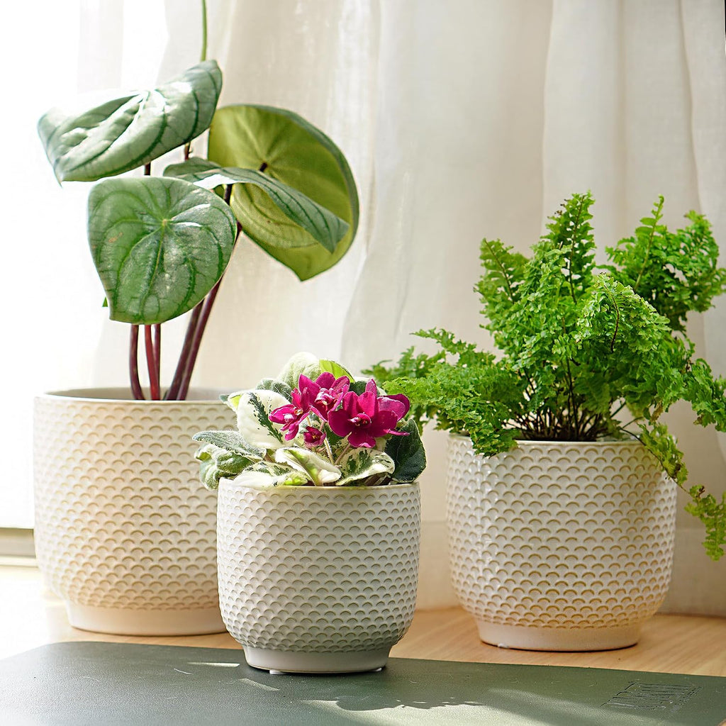 4 + 5 + 6 Inch Ceramic Pots for Indoor Plants, Succulents Plant Pots, Orchid Flower Pot with Drainage Hole, Modern Clay