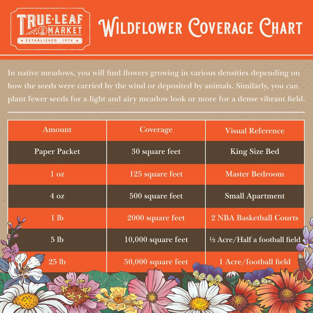 Mountain Valley Seed Co Northeastern Wildflower Seed 5 Lb 3.2 Million Seeds | Annual & Perennial Native Wildflower Mix