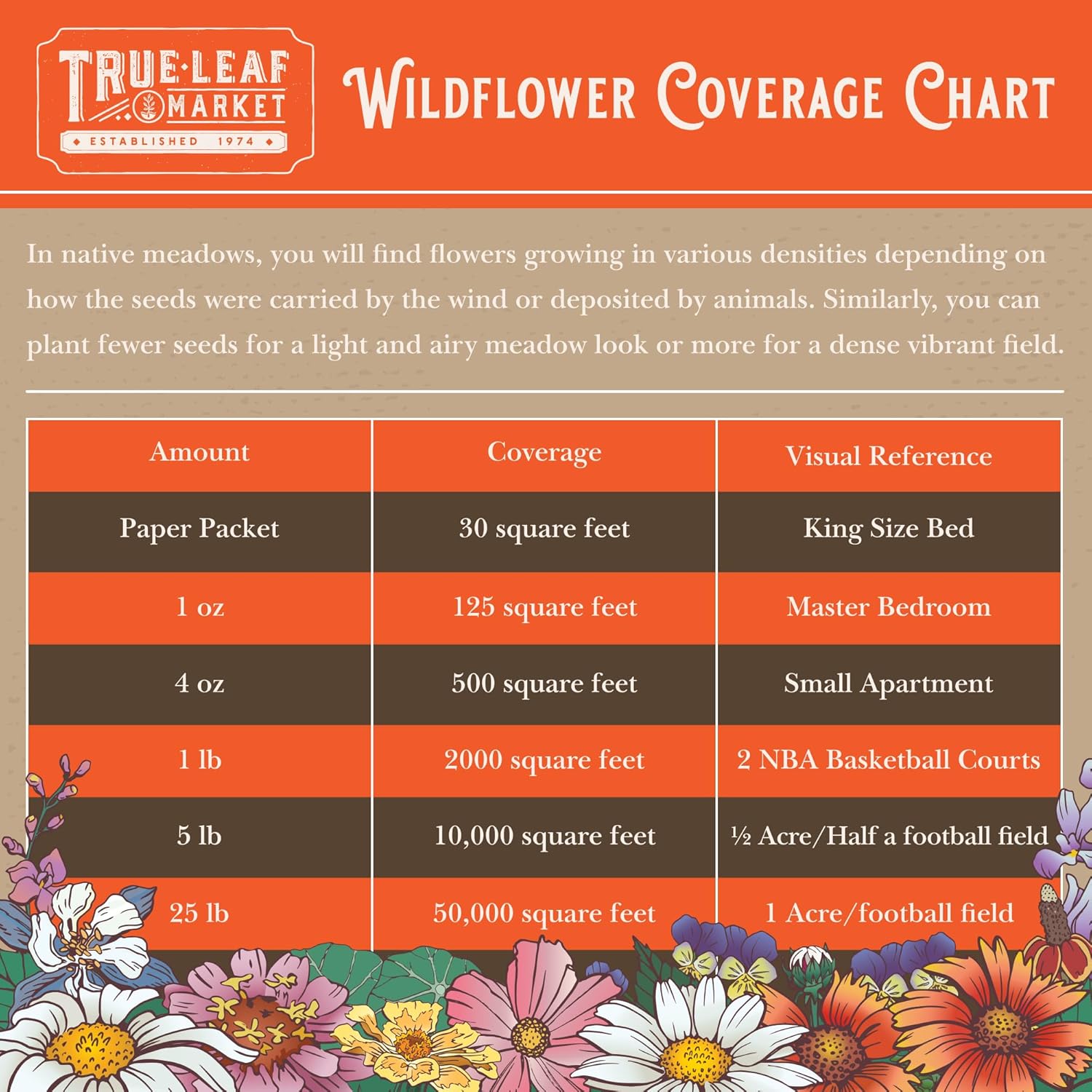 Mountain Valley Seed Co Northeastern Wildflower Seed 5 Lb 3.2 Million Seeds | Annual & Perennial Native Wildflower Mix