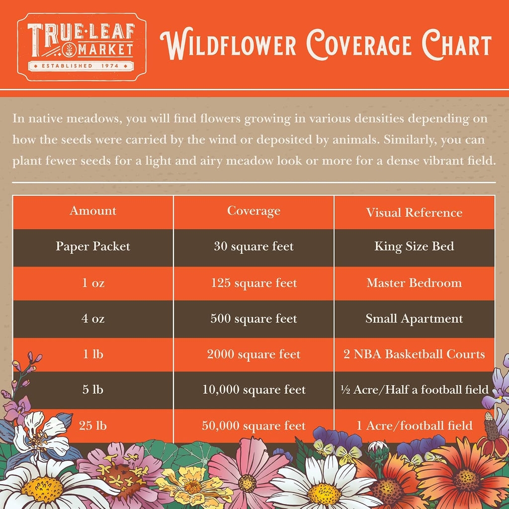 Mountain Valley Seed Co Northeastern Wildflower Seed 1 Lb 640,000 Seeds | Annual & Perennial Wildflower Mix with Native