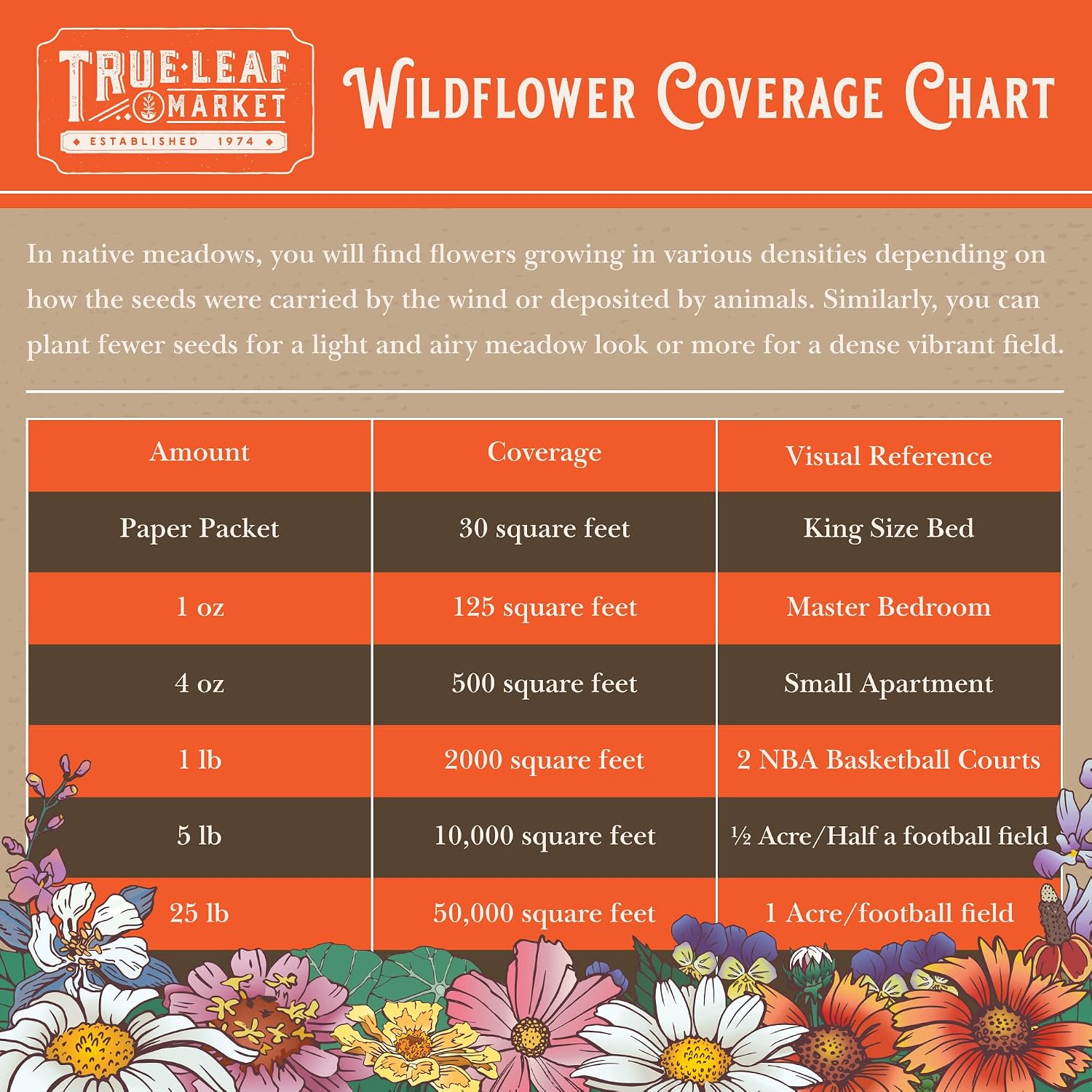 Mountain Valley Seed Co Wildflower Seeds - Meadow Wildflower Seed Mix 5 Lb | Annual & Perennial Wild flowers Seeds for