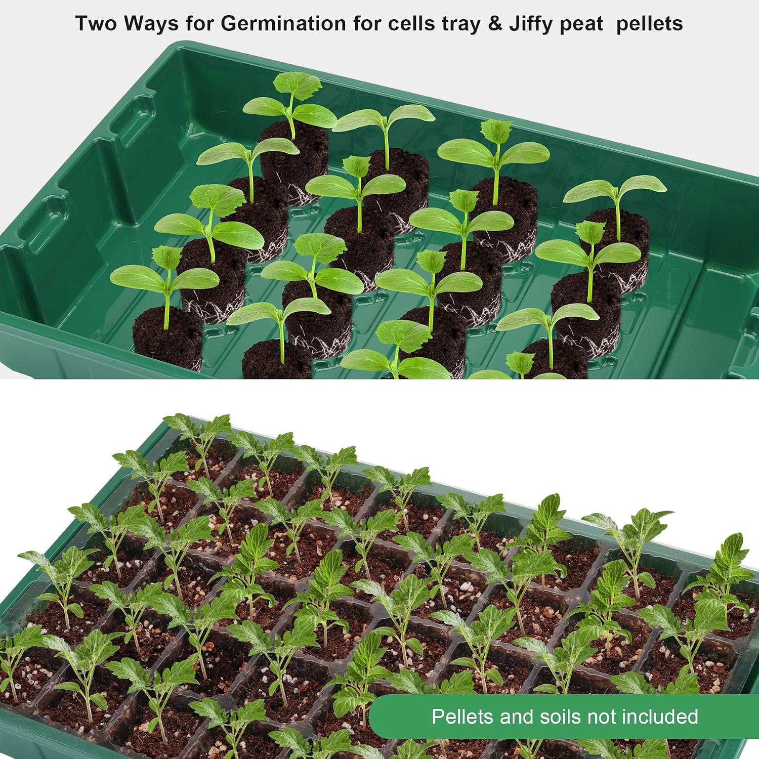 MIXC Seedling Trays Seed Starter Tray, 10-Pack Mini Propagator Plant Grow Kit Greenhouse with Humidity Vented Domes and