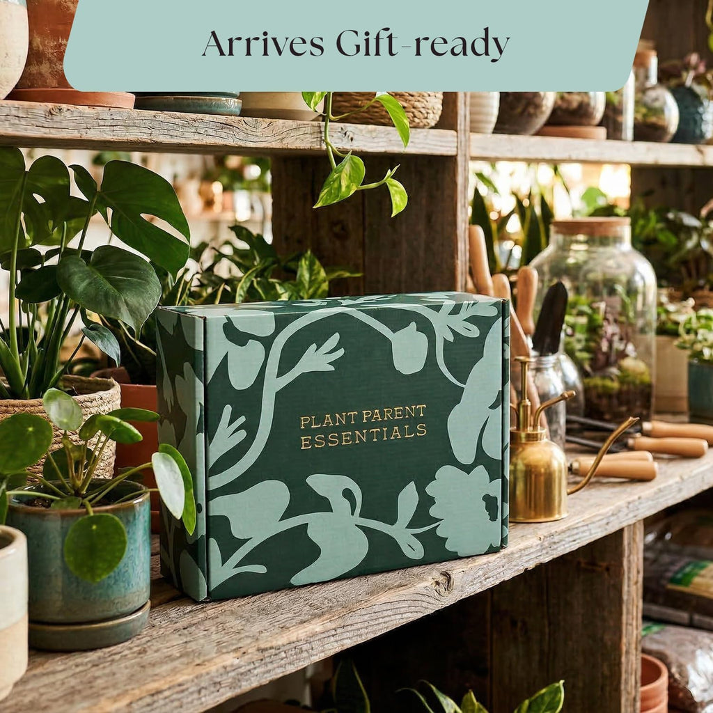 Rosy Soil Plant Parent Essentials Gift Box, Indoor Plant Kit | Gift for Plant Lovers, Gardening Tool Kit, with