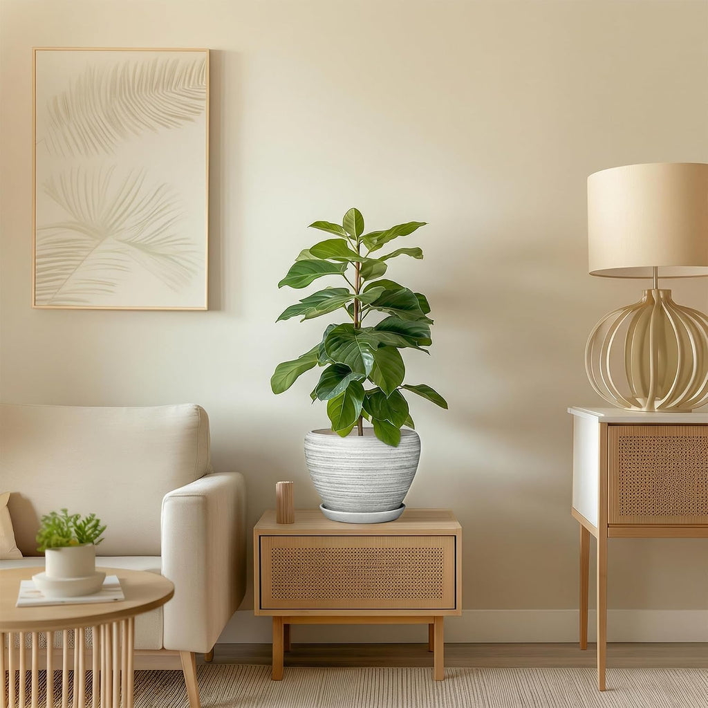 Indoor Plant Pots 8 Inch - Ceramic Plant Pots with Drainage Hole and Saucer, Large Flower Pot for Indoor Plants