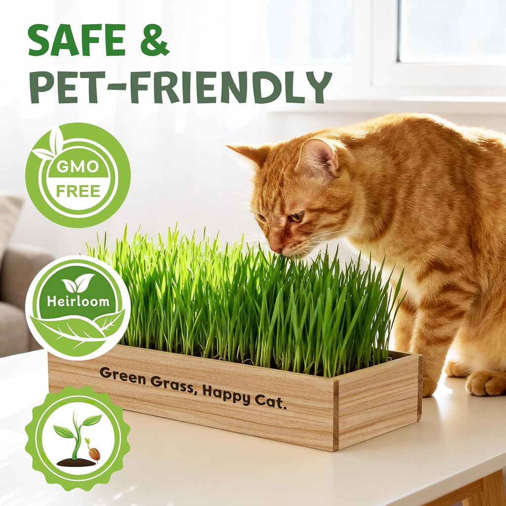 LUOJIBIE Cat Grass Kit for Indoor Cats, Cat Grass Seeds Set, Non-GMO Wheat Grass, Mothers Day Gifts for Mom, Unique