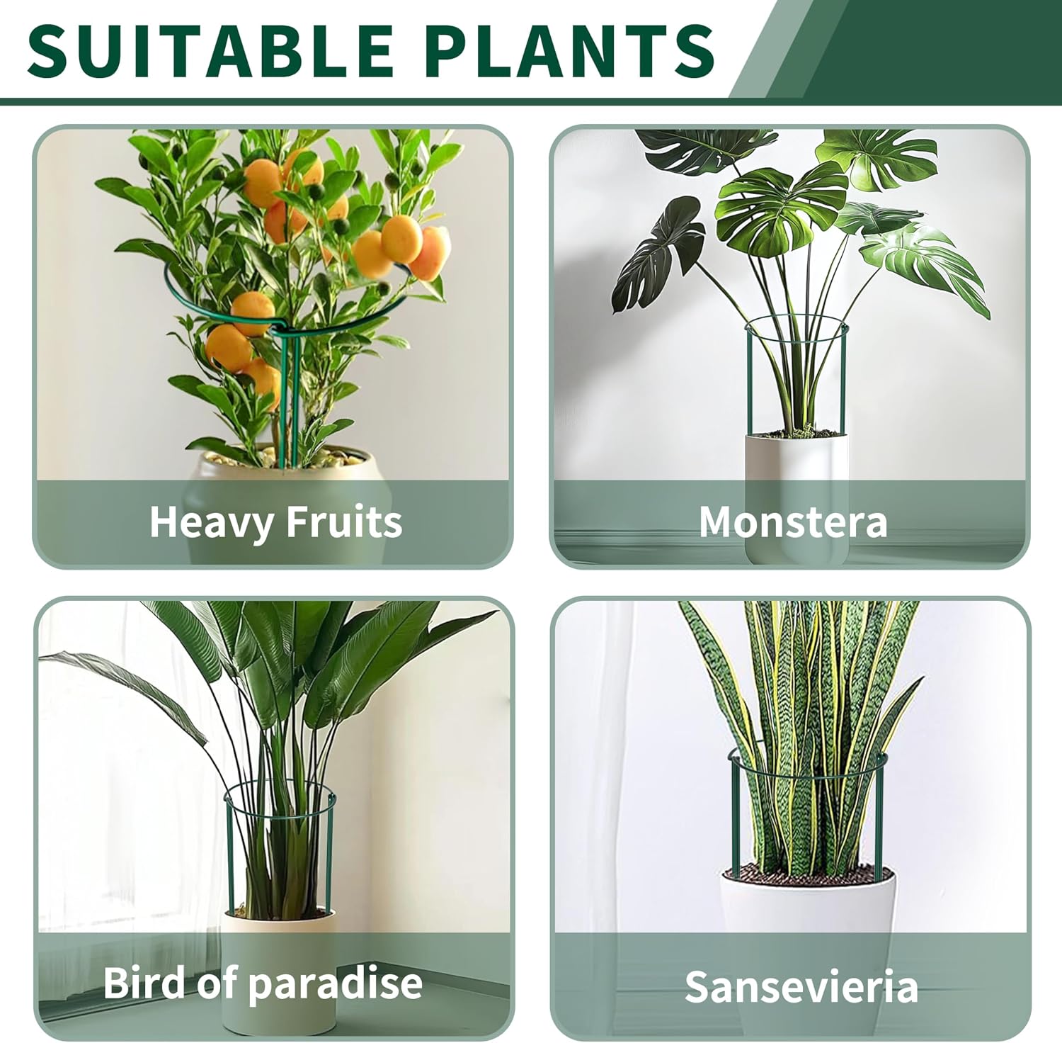 10 Pack Peony Cages and Supports, 14" (W) x 32"(H) Plant Support, Heavy-Duty Metal Plant Support Stakes, Plant Stakes
