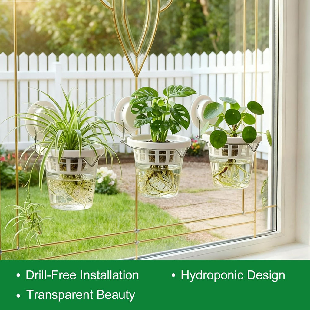 3 Pcs Window Propagation Stations Plastic Wall Hanging Planter with Suction Cup Holder Window Mounted Plant for