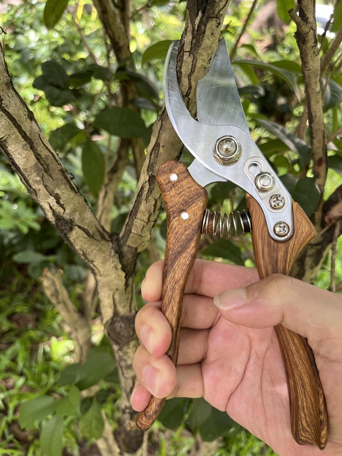 Branch Trimmer, Japanese Bonsai Trimming Scissors, Garden Clippers Handheld, Ergonomic Gardening Tools, Floral Shears