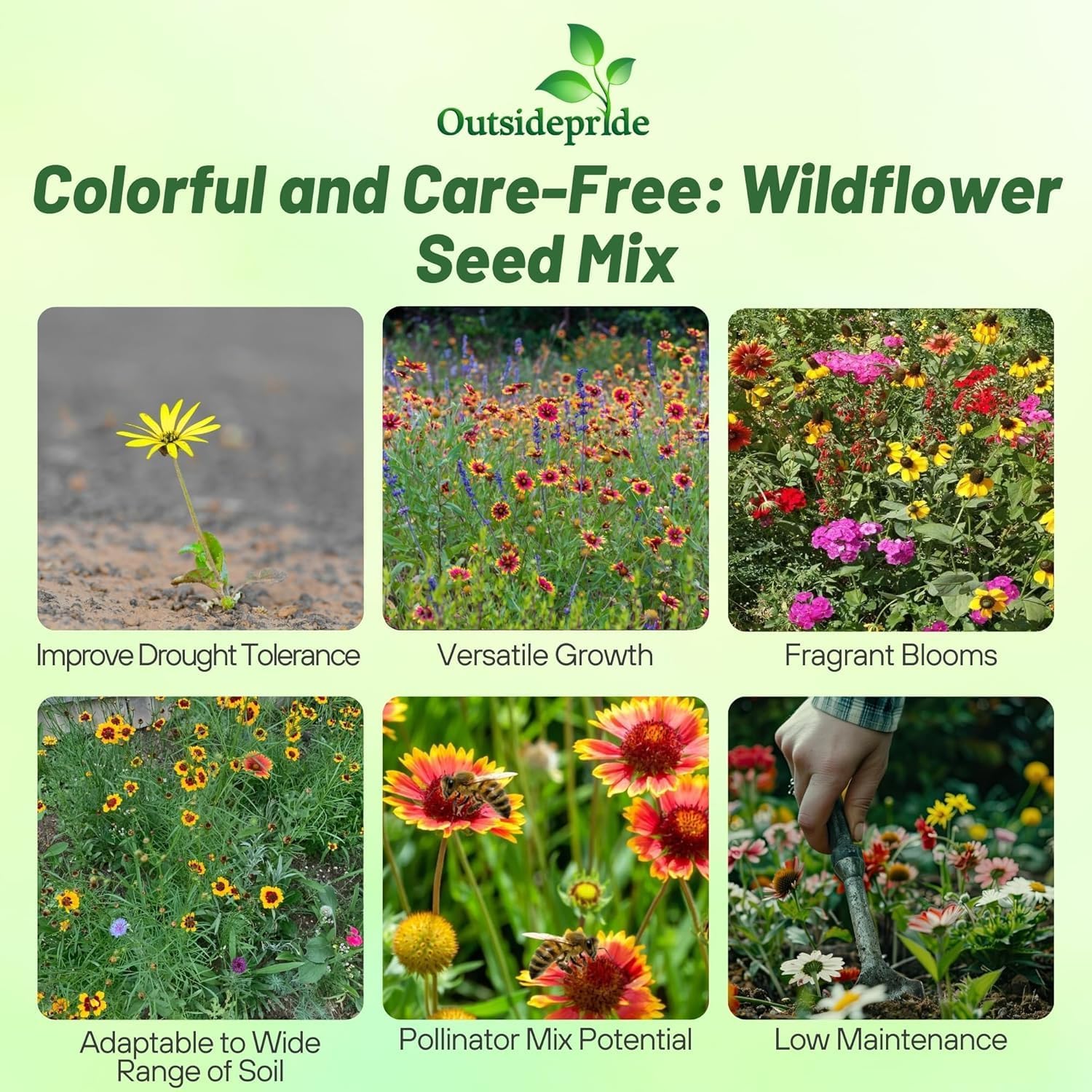 Outsidepride Southeast Wildflower Seed Mix - 1 lb Highly Adaptable, Easy to Grow, Low-Maintenance Mix of Annual &