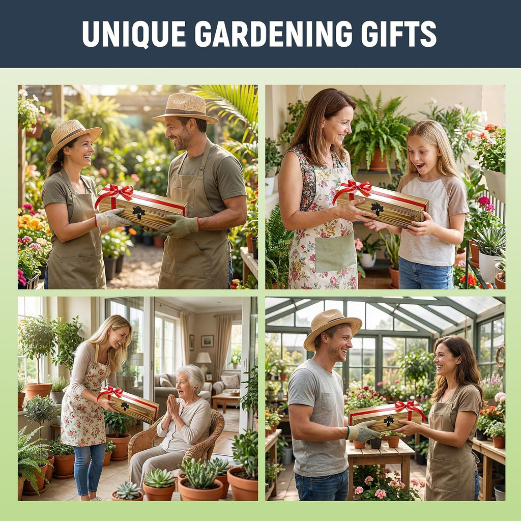 Bonsai Tree Kit - Complete Indoor Bonsai Starter Kit with 5 Unique Tree Seeds, Bonsai Tools - DIY Gardening Gift for