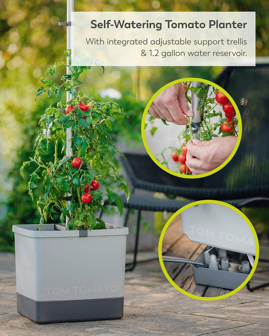 BUZZY Seeds Self-Watering Vertical Tomato Planter, Trellis, 1.2 Gal, Gray | Self-watering vertical planter with