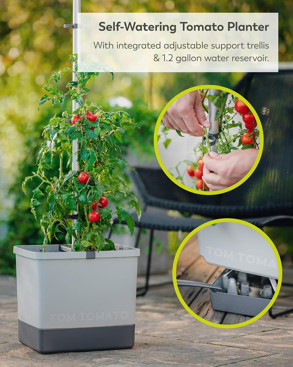 BUZZY Seeds Self-Watering Vertical Tomato Planter, Trellis, 1.2 Gal, Gray | Self-watering vertical planter with