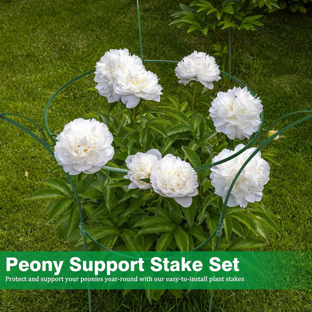 2 Pack Peony Cages and Supports Cages 13" D x 22.8" H Sturdy Metal Support Frame for Peonies & Roses Natural Bouquet