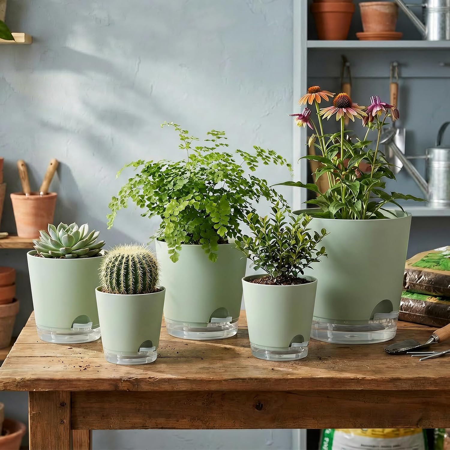 2026 Upgraded Self Watering Plant Pots with Drainage Hole, 8/7/6.5/6/5.5/5/4 Inch Flower Planting Containers for House