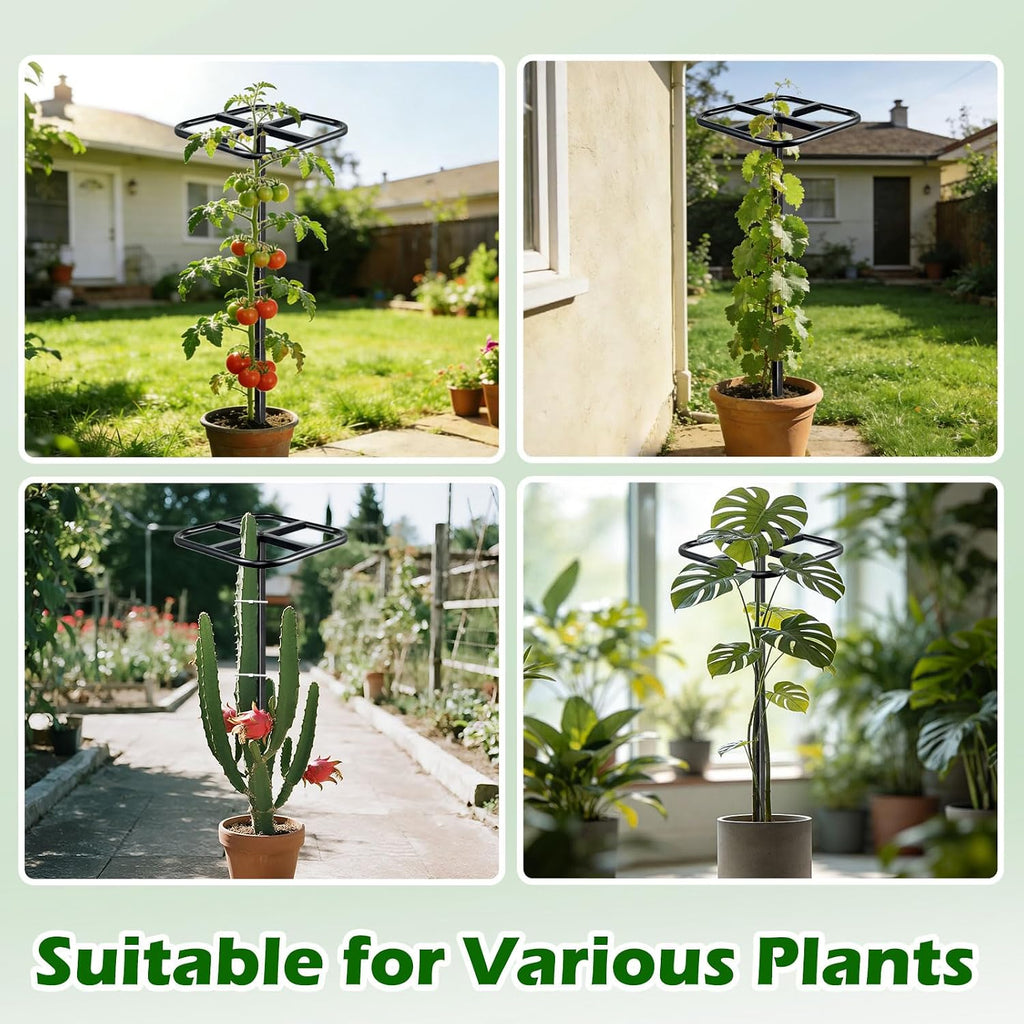Extra Thick Adjustable Dragon Fruit Trellis,Metal Plant Trellis | Durable Outdoor Climbing Plants Support Frame for
