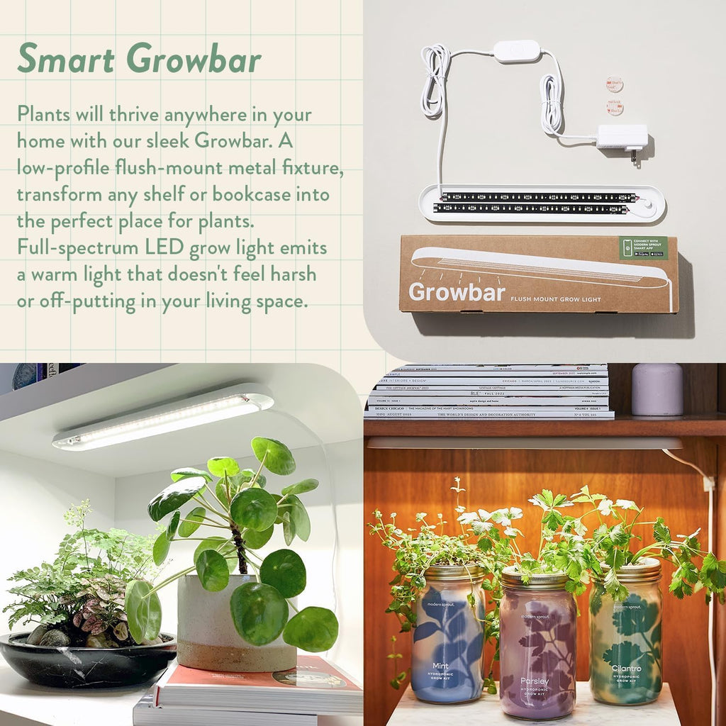 Modern Sprout Garden Jars + Smart Growbar Bundle- Basil, Rosemary & Parsley | Self-Watering Hydroponic Herb Growing Kit