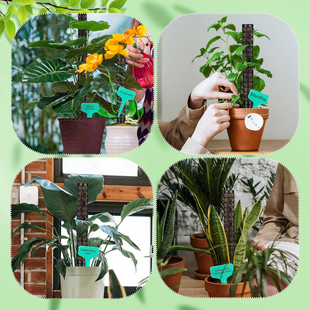 10 Set Plastic Moss Poles for Climbing Plants Indoor Stackable Self Watering Hollow Monstera Plant Support, Moss Not