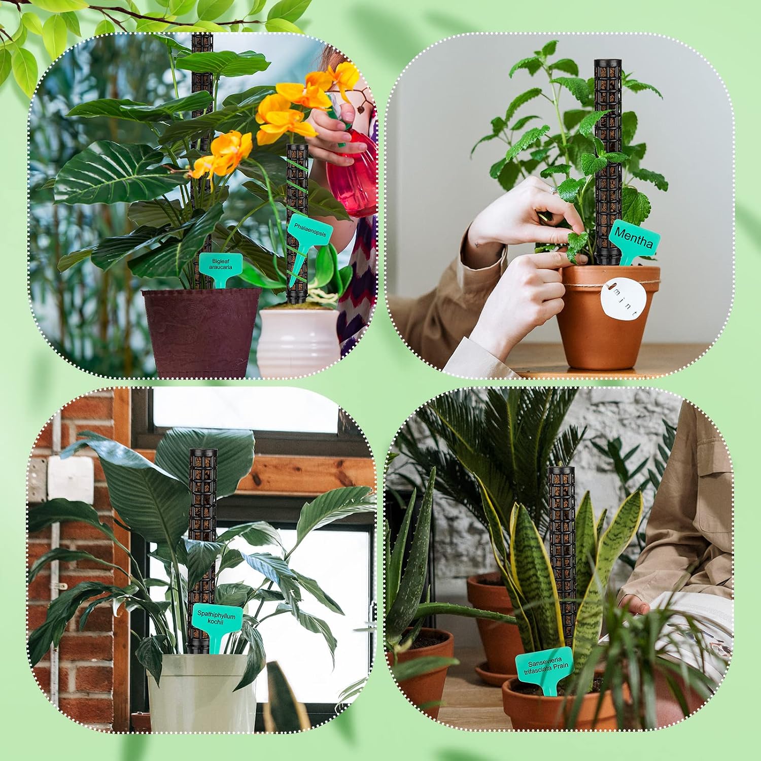 10 Set Plastic Moss Poles for Climbing Plants Indoor Stackable Self Watering Hollow Monstera Plant Support, Moss Not