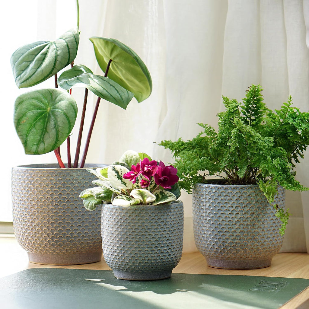 4 + 5 + 6 Inch Ceramic Pots for Indoor Plants, Succulents Plant Pots, Orchid Flower Pot with Drainage Hole, Modern Clay