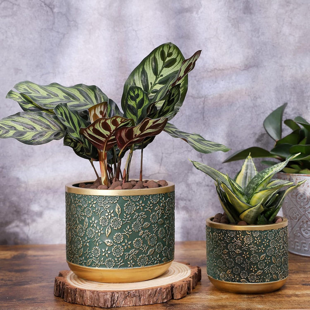 6 +4.4 Inch Cement Planter Decorative Pots with Drainage Hole for All House Plants, Succulents, Flowers, and Cactus