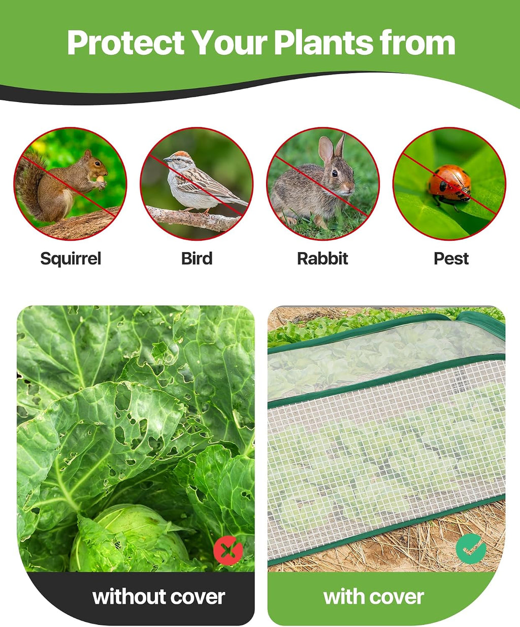Garden Covers for Raised Beds, Greenhouse Humidity Domes, 2 Pack | Helps Protect Plants from Frost and Pests, Retains
