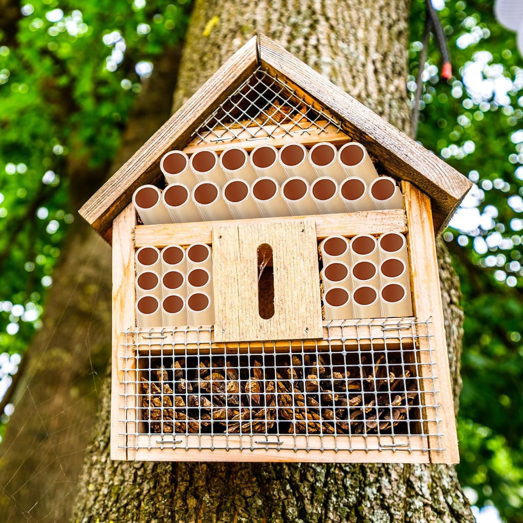 Tinideya 250 Pcs Phragmite Reed Mason Bee Tubes Set Bee Hotel Nest Box Pollinator Bee Box for Mason Bee Houses Natural