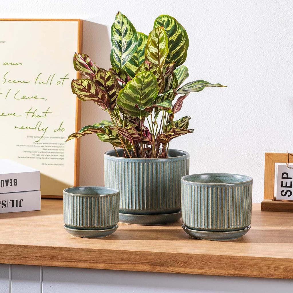 SURE YUESI Ceramic Plant Pots Set of 3, Indoor Outdoor Planters with Drainage Hole and Saucer, Ceramic Flower Pots for