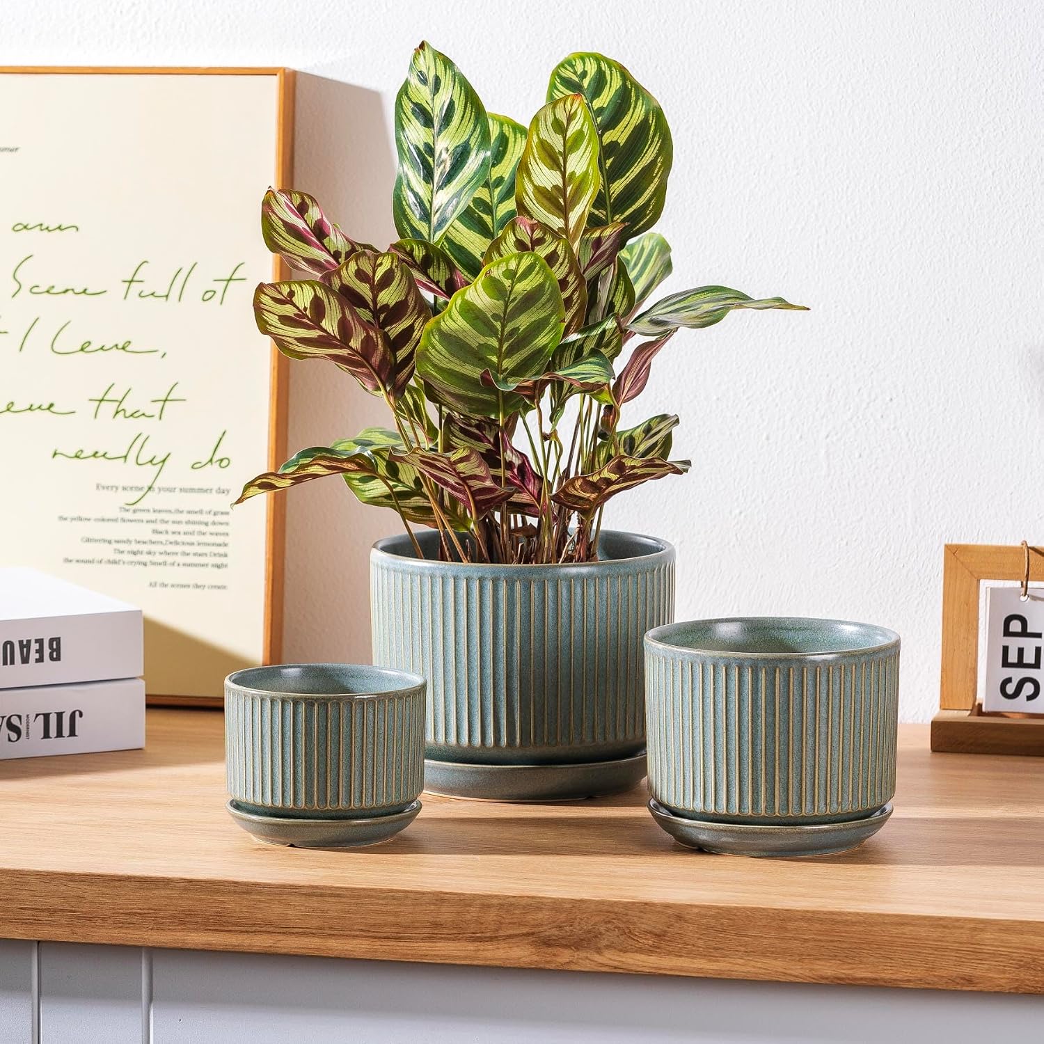 SURE YUESI Ceramic Plant Pots Set of 3, Indoor Outdoor Planters with Drainage Hole and Saucer, Ceramic Flower Pots for