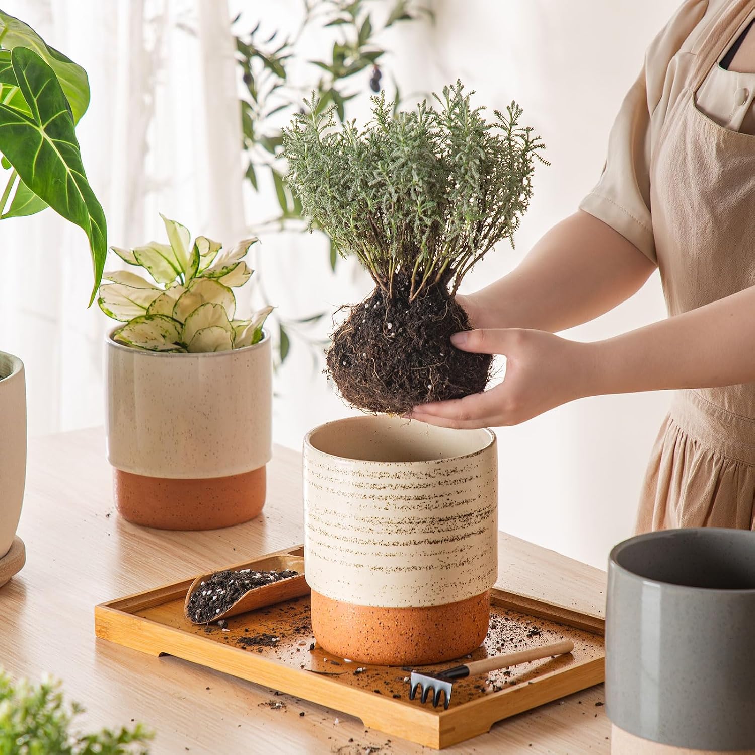 6 Inch Ceramic Self Watering Planter with Drainage Hole, Brush | Indoor Plant Pot with Water Storage Plus - for African
