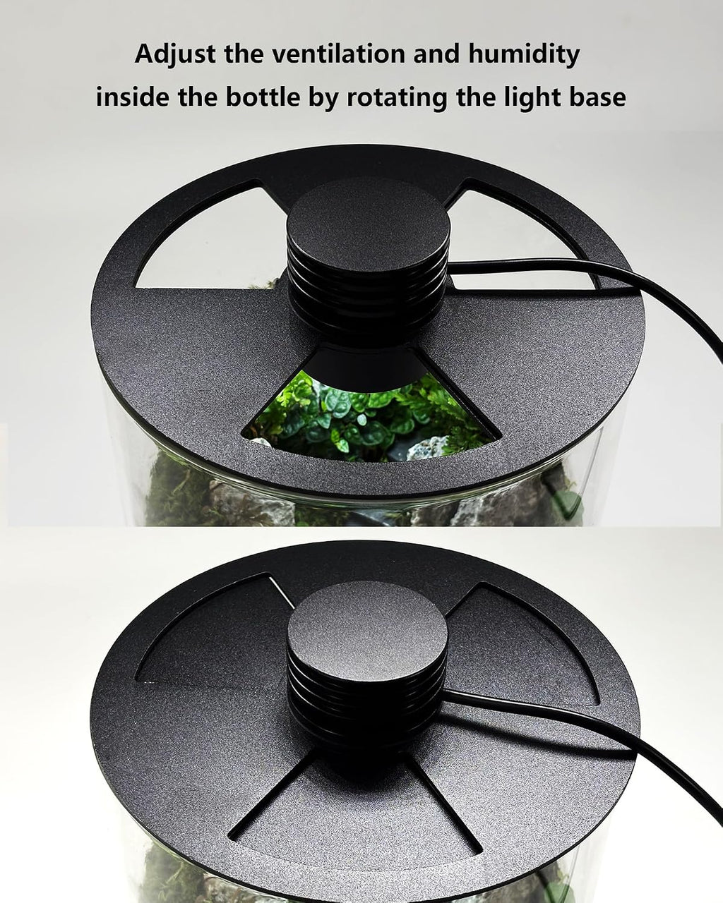 Desktop Glass Terrarium with Grow Light (7.5" H x 5.9" D) - for Succulents, Moss, Mini Gardens, Betta Fish Tanks