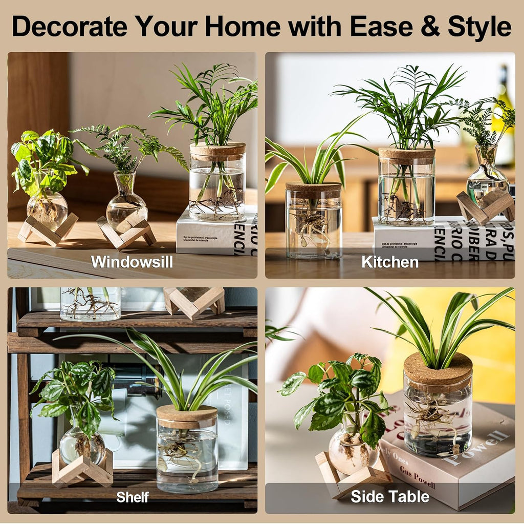 Plant Propagation Station, 2 Style Glass Planter Terrarium Set for Hydroponic Plants | Home Office Tabletop Decor