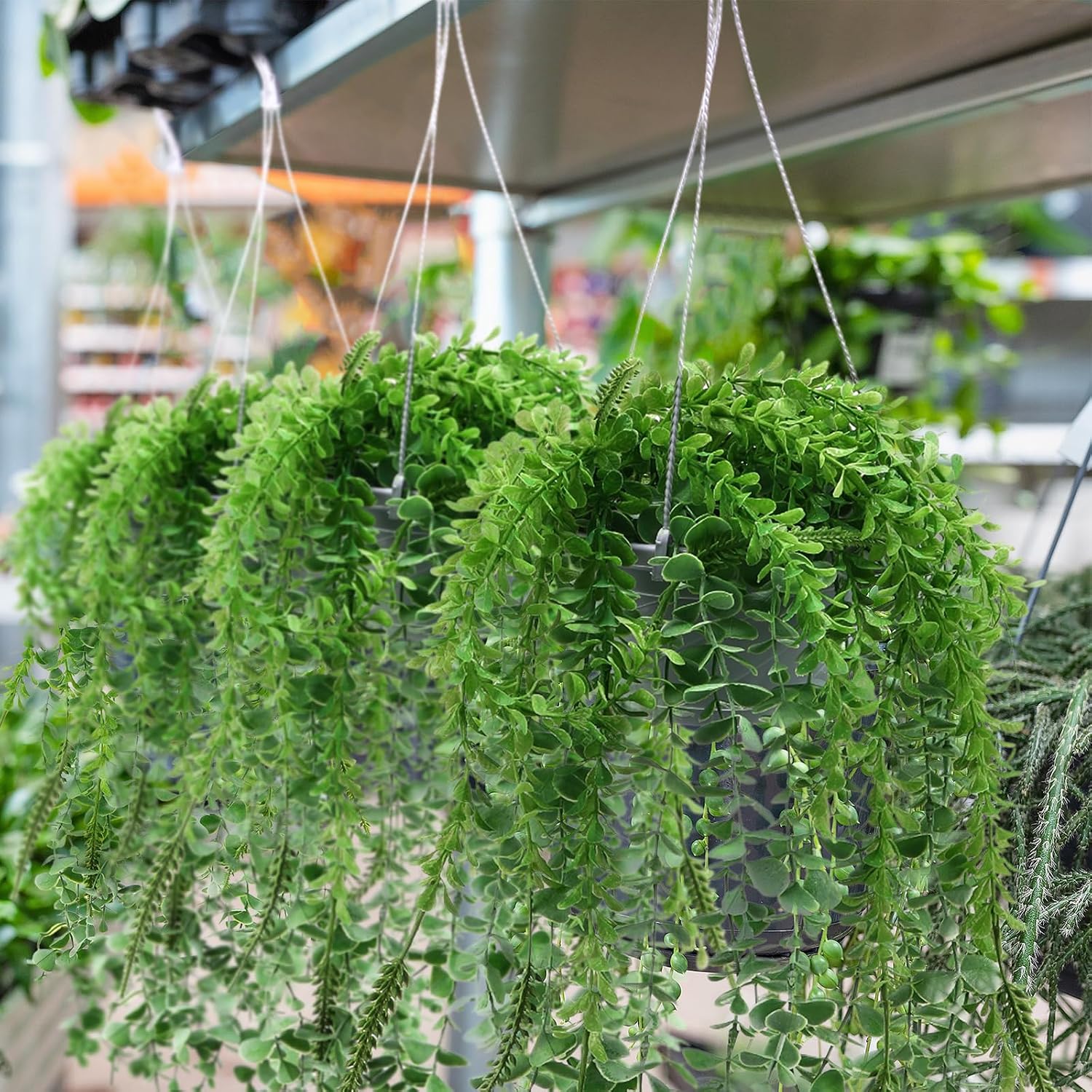 Tioncy 50 Pcs Plastic Hanging Planter Round Hanging Pot for Plants Containers with Hook Flower Plant Pots Holders for