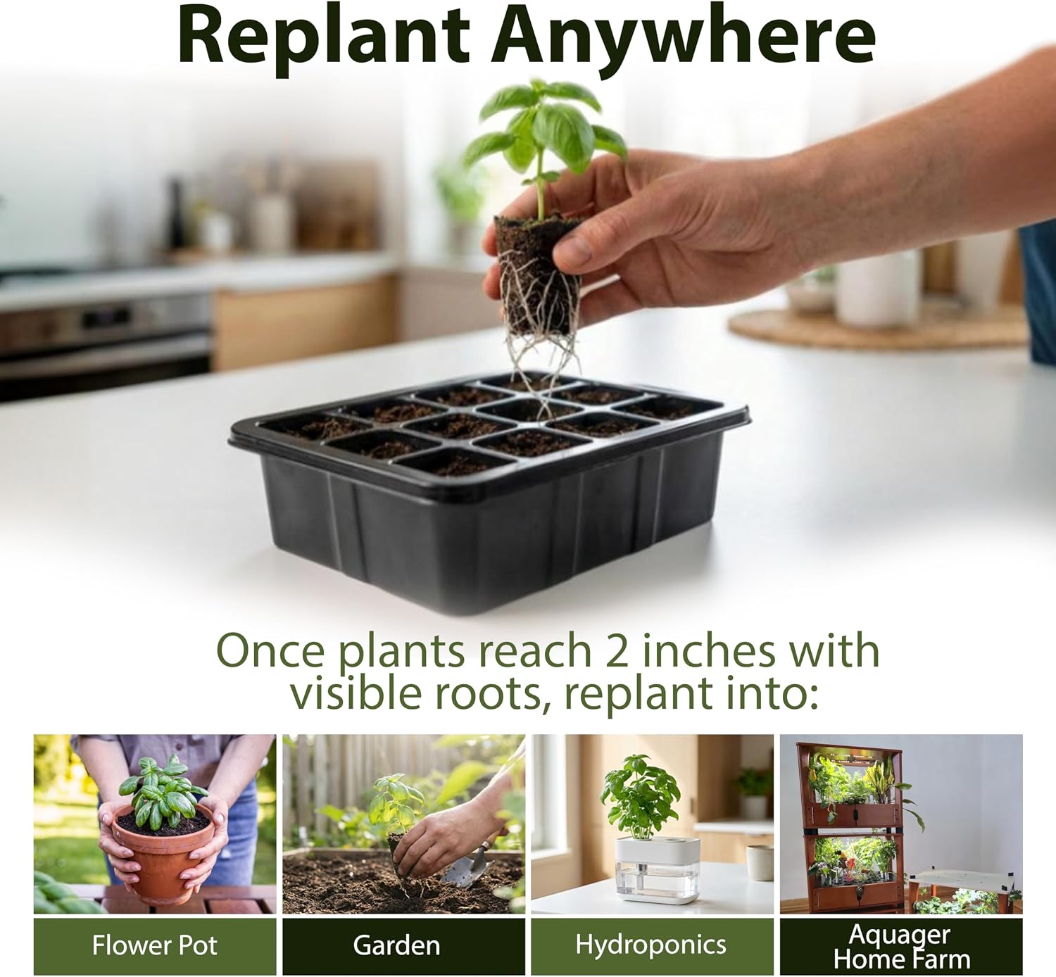 Seed Starter Kit with Humidity Dome – 12-Cell Indoor Pre-Seeded Seed Starting Tray with Basil & Microgreens – Complete